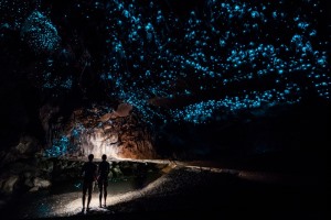 ワイトモ･グローワーム洞窟